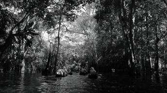 S30 Ep1: Into the Amazon