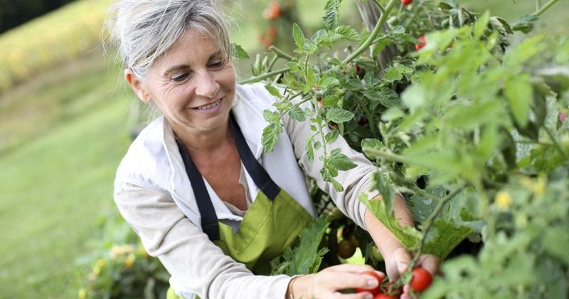 6 Beliefs That Sabotage Your Health
