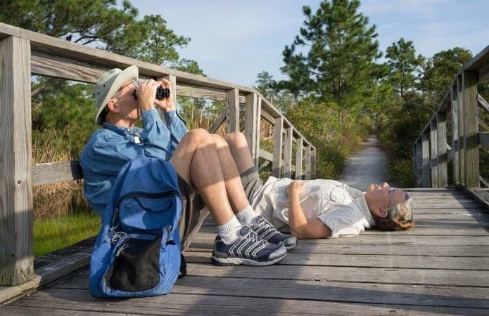 A Birdwatching Primer