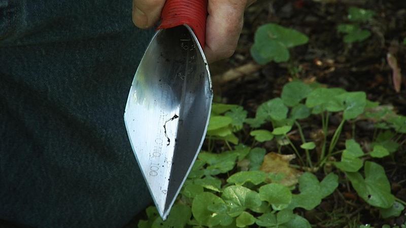 Favorite Gardening Tools