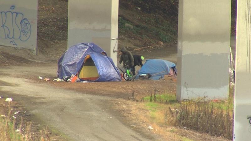 Homeless Issues - Jan. 13, 2017