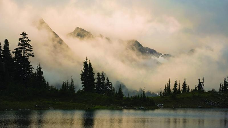 Out of the Mist - February 7, 2013