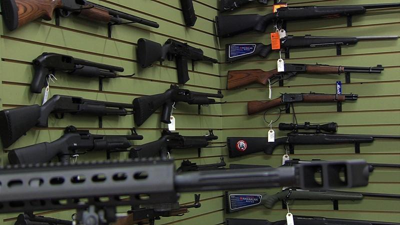 Gun Initiatives - October 17, 2014