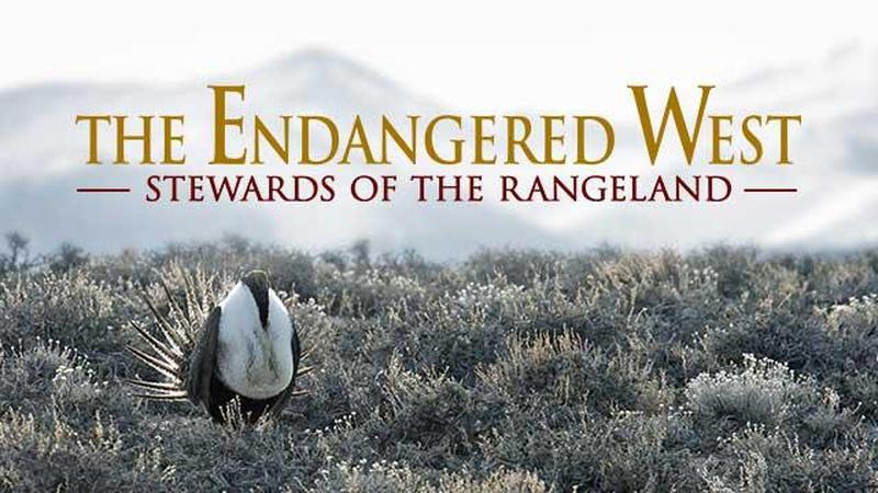 THE ENDANGERED WEST