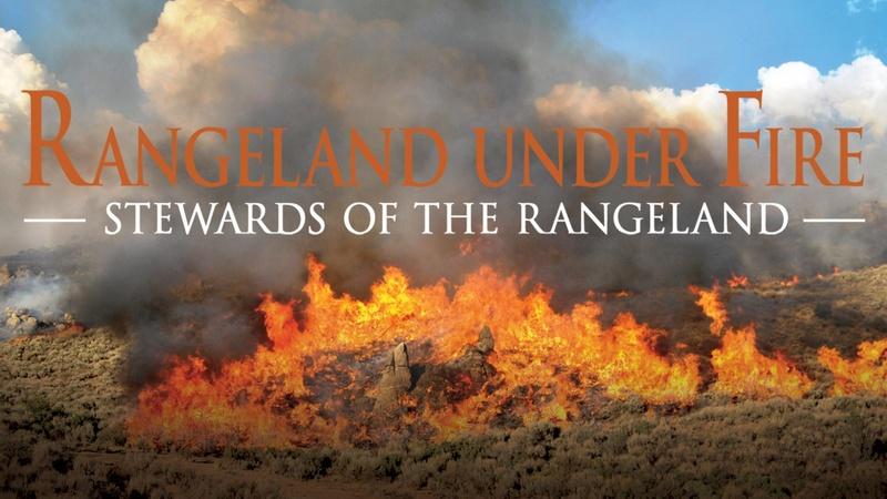 Rangeland Under Fire: Stewards of the Rangeland