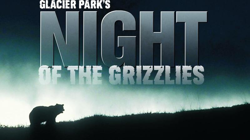 Glacier Park's Night Of The Grizzlies