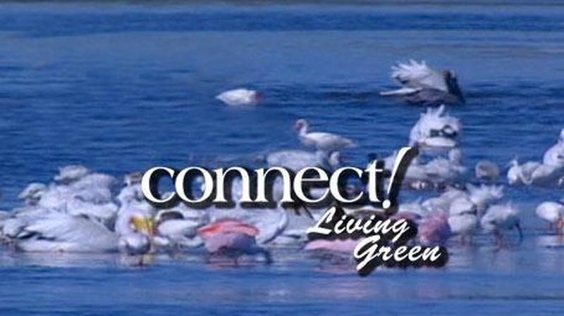 Legendary Activists, Protecting Wildlife & Water Quality