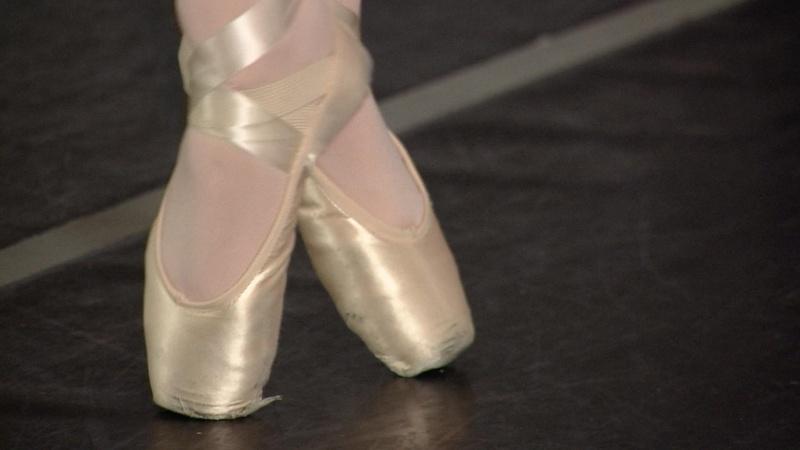 Ballet Arts Ensemble
