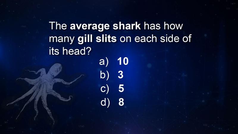 Matter of Fact: Shark Gills