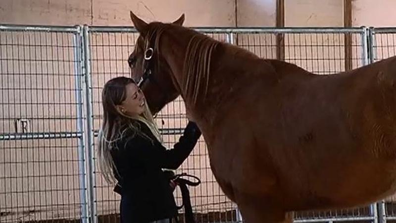 Health Link Clip | Veterans | Saratoga WarHorse