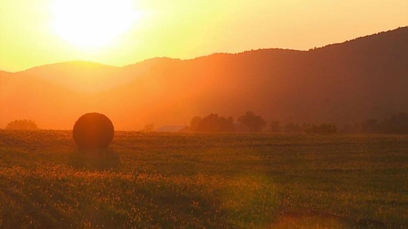 Hearth & Harvest