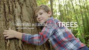Image of Learning About Trees