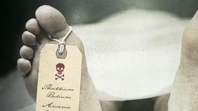 Image of The Poisoner's Handbook Preview