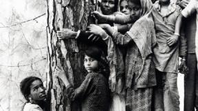 Image of Women in the Environmental Movement