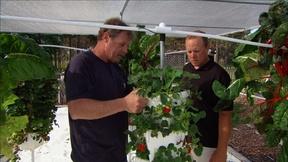 Image of Ask This Old House | Hydroponic Garden, New Spigot