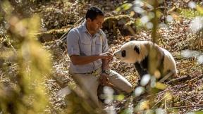 Image of EARTH A New Wild | Home Preview
