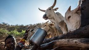 Image of Listen to the Samburu's Singing Wells Songs