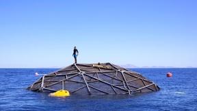 Image of EARTH A New Wild | Oceans