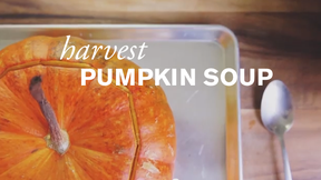 Image of Harvest Pumpkin Soup