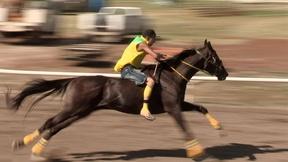 Image of The Rituals and Rules Behind Indian Relay Races