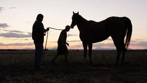 Image of Moments of Reflection Before the Races