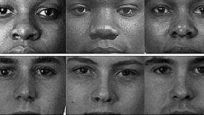 Image of Test Your Implicit Bias with Science