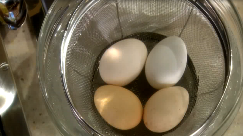 Martha Stewart's Tip: Peeling Eggs