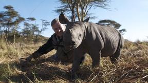 Image of The Rhino Who Joined the Family - Preview
