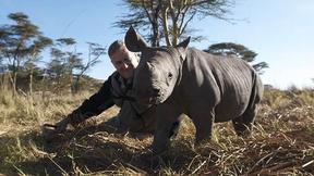 Image of The Rhino Who Joined the Family