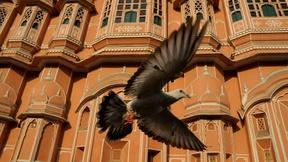 Image of Earthflight: Asia and Australia - Preview