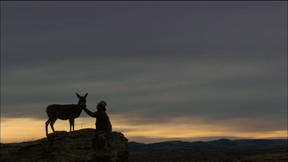 Image of Trailer: Touching the Wild