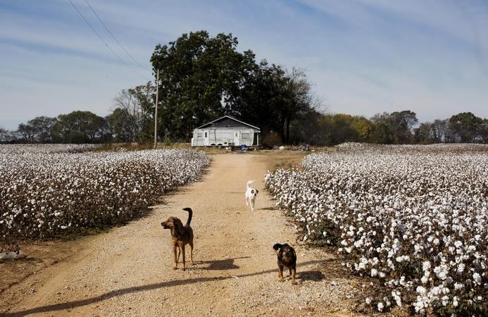 Poverty-stricken past and present in the Mississippi Delta