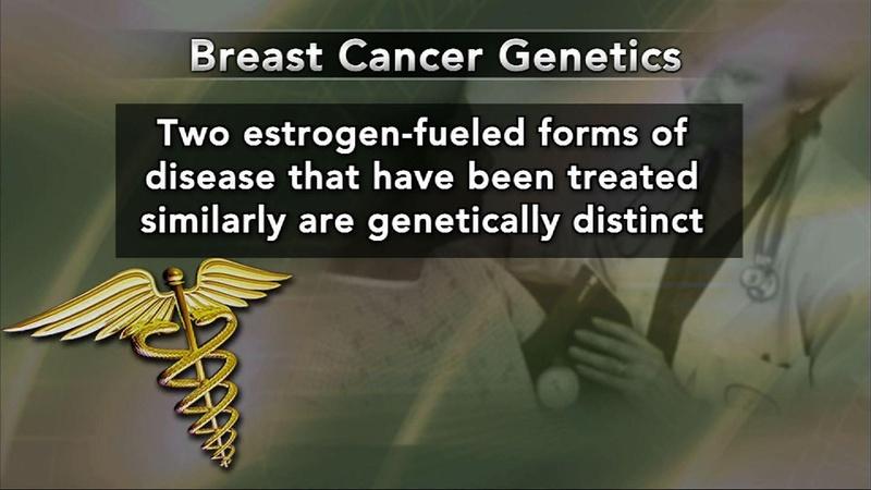 Genetic Research to Shape Breast Cancer Treatment