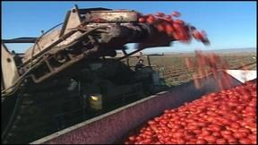 Image of California's drought could mean bad news at grocery stores
