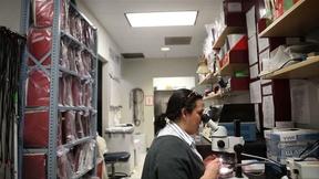 Image of NewsHour asks: why do you choose basic research?