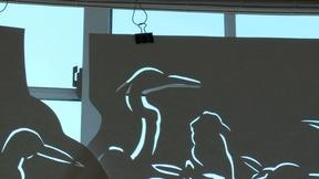 Image of Warning the public with cut-outs of 33 endangered birds