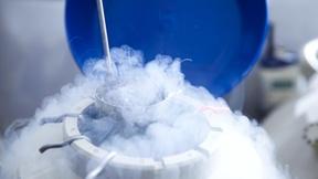 Image of Debating the pros and cons of freezing eggs