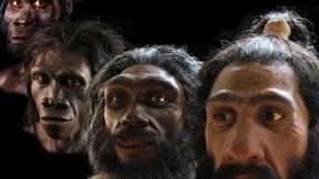 Image of Molding an identity for dinosaurs and human ancestors