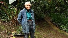 Image of W. S. Merwin reads 'Rain Light'