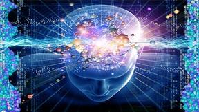 Image of New Discovery May Reveal a Pathway to Longer Life