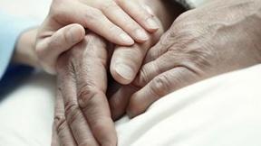 Image of No Two Families Are Alike, But Guilt Is Universal