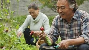 Image of Retirement: It Just Might Be Good for Your Health