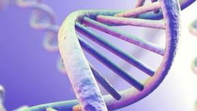 Image of How Will Your Family Talk About Genetics?