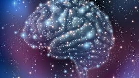 Image of 5 Tips to Keep Your Brain Healthy