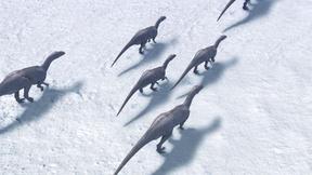 Image of Arctic Dinosaurs - Preview