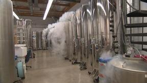 Image of Cryonics