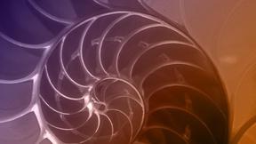 Image of The Great Math Mystery Preview