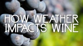 Image of How Weather Impacts Wine