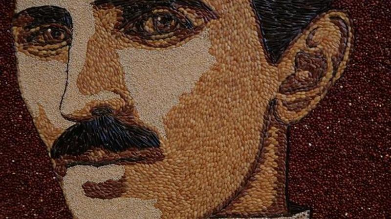 2015 Festival | Seed Art