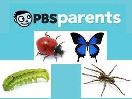 Bugs and Insects Video Playlist